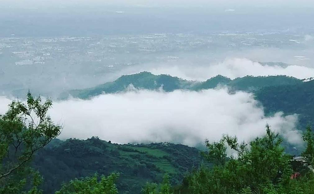 Kasauli