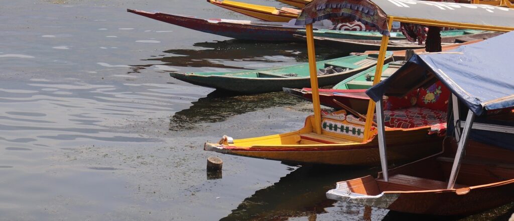 Dal Lake Shikaras, Boats